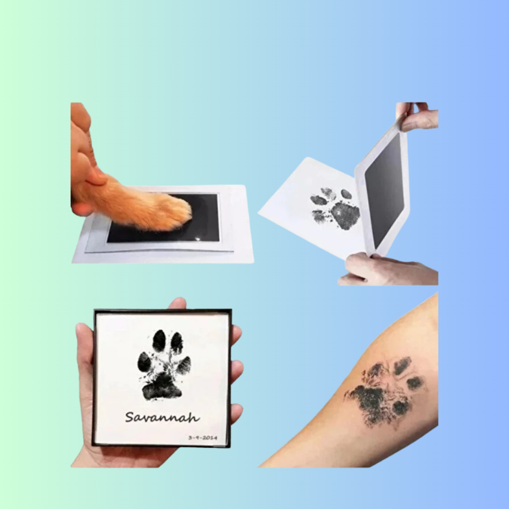 Deringlow™ İlk İzler Hatıra Seti